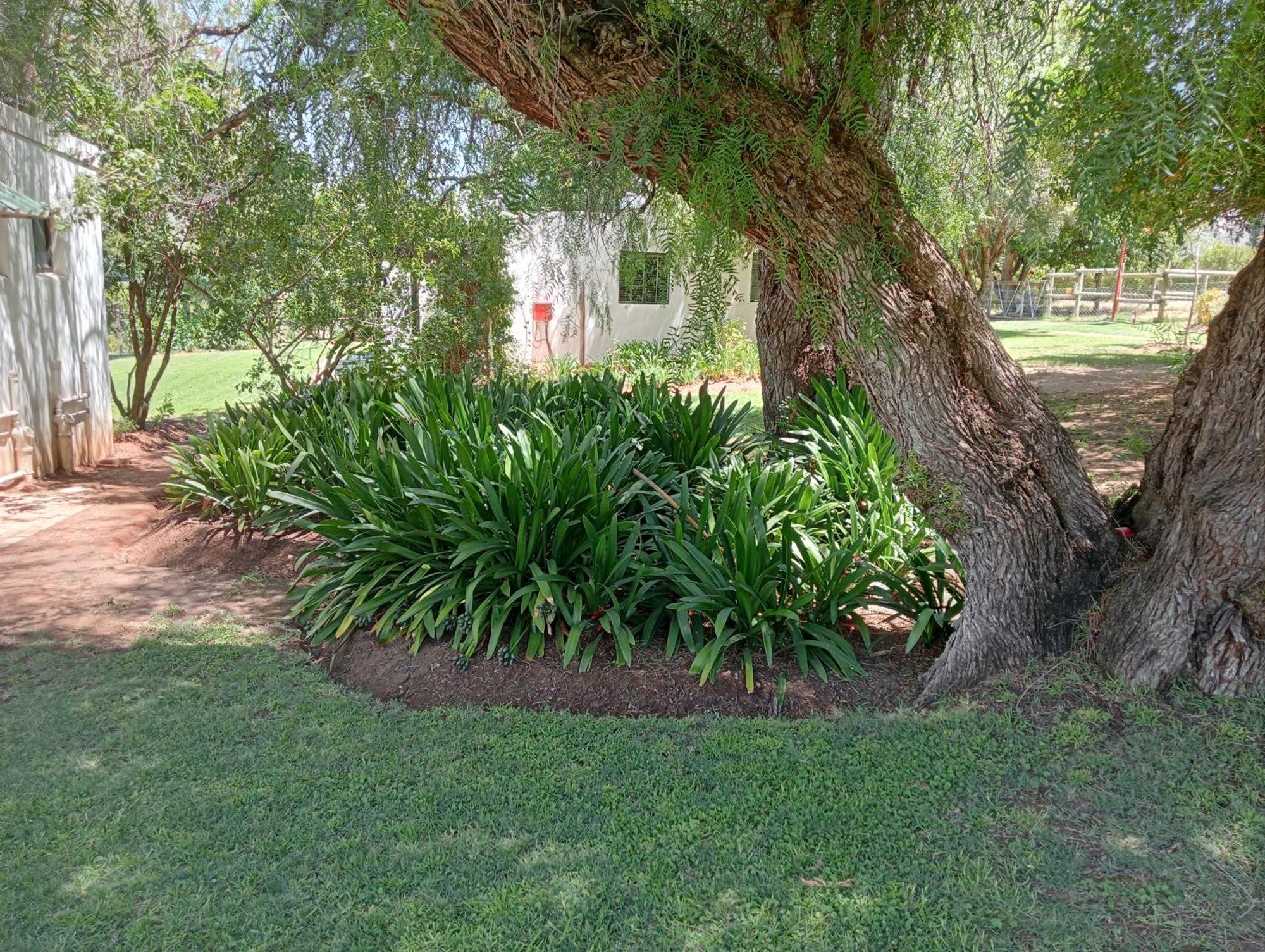 Kranskloof Country Lodge Oudtshoorn Exterior photo